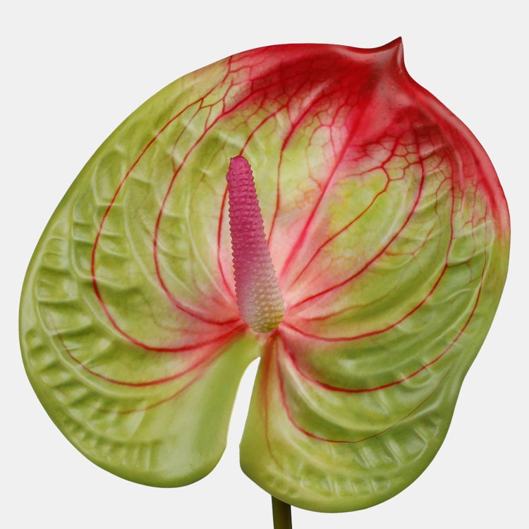 Anthurium tekokukka vihreä/punainen - Tekokukat.fi