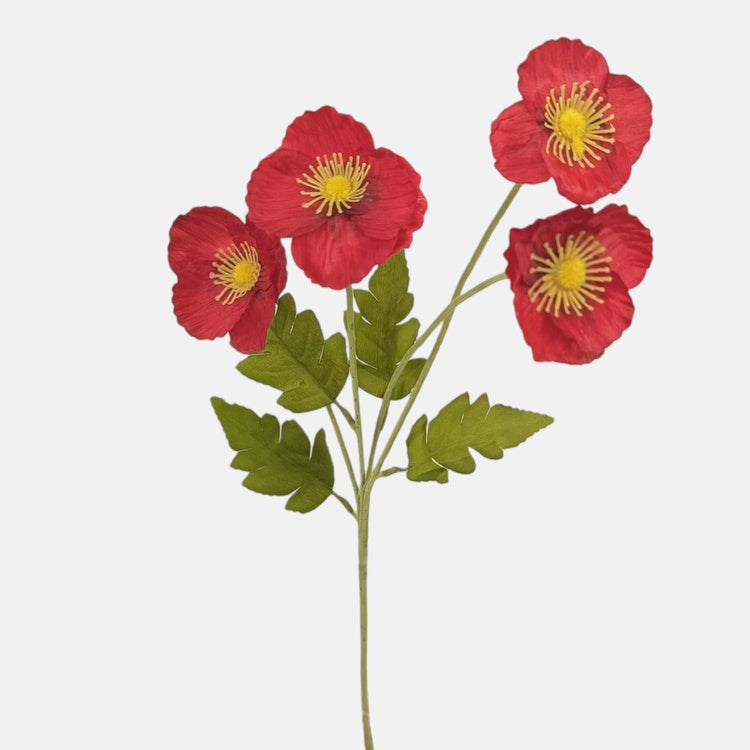 Anemone x 4 tekokukka punainen