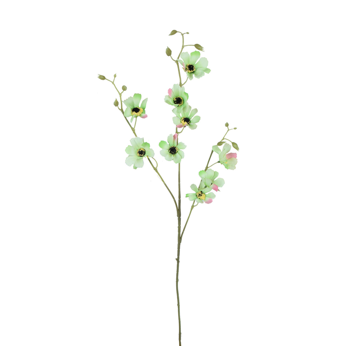 Anemone – tekokukka, 83 cm