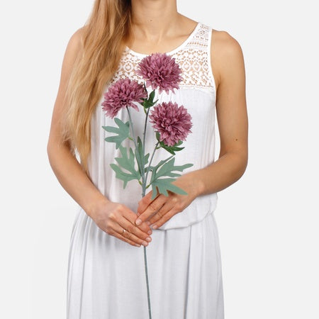 Krysanteemi x 3 tekokukka syksyinen violetti
