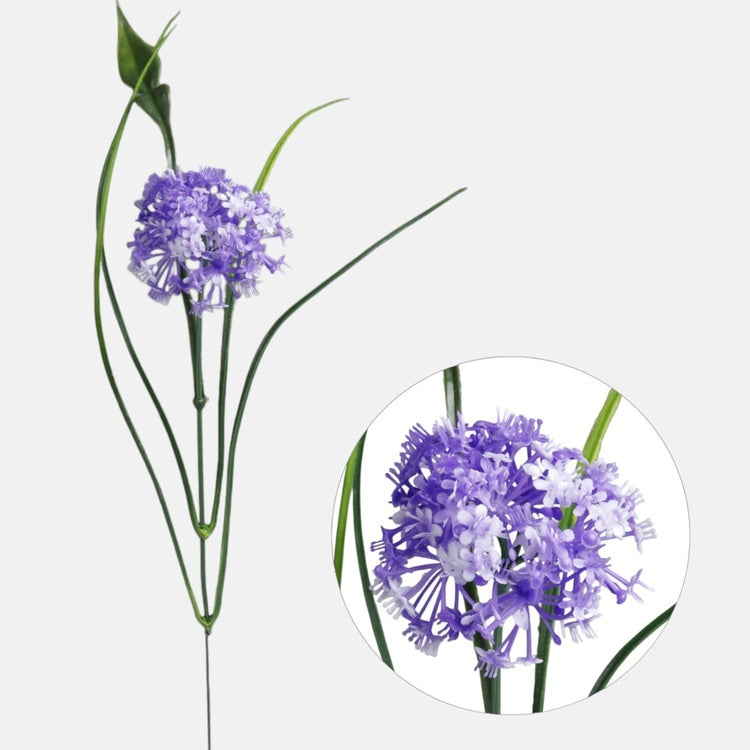 Valkosipuli kukkii
violetti