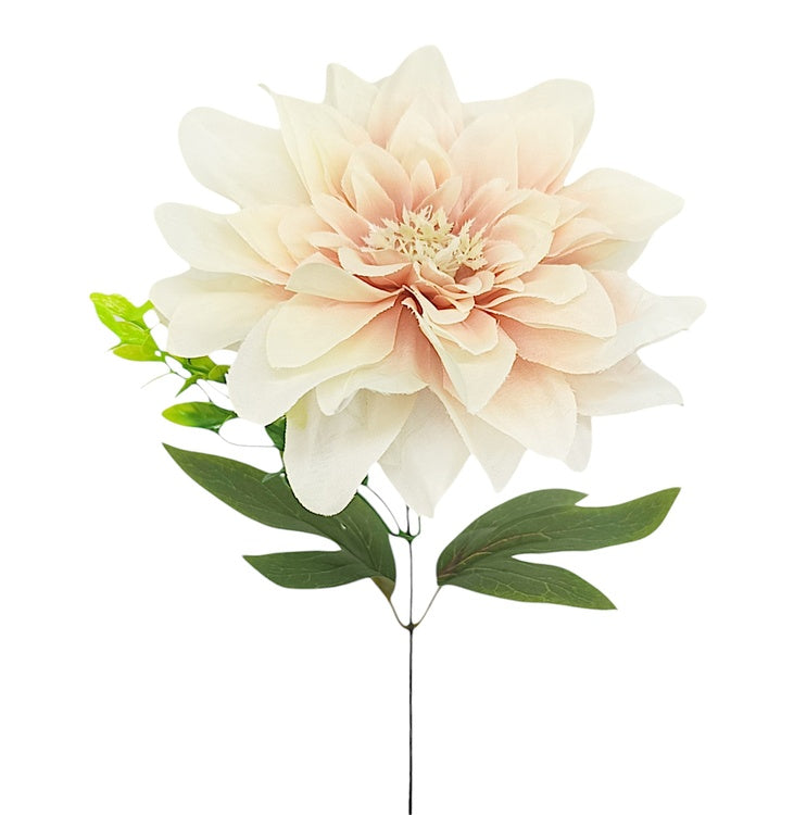 Dahlia Persikka - Tekokukat.fi