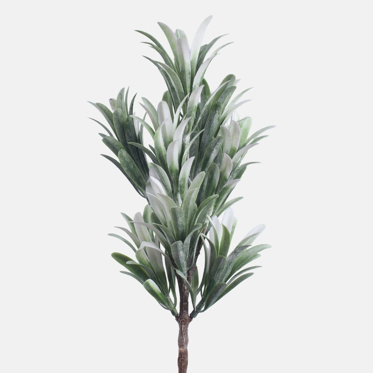 Dracaena mini vihreä/valkoinen - Tekokukat.fi
