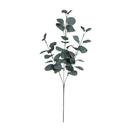 Eukalyptus
dk. vihreä