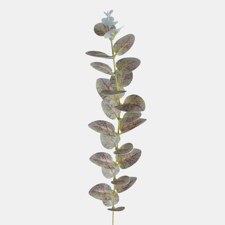 Eukalyptuksen oksa t.t. gray - Tekokukat.fi