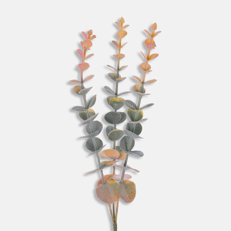 Eukalyptus
oranssi/vihreä
