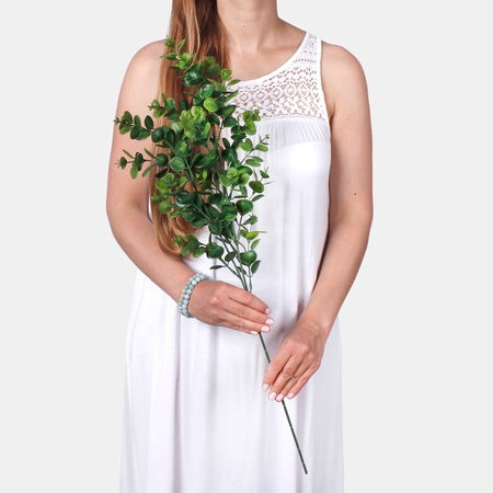 Eukalyptus
vihreä
