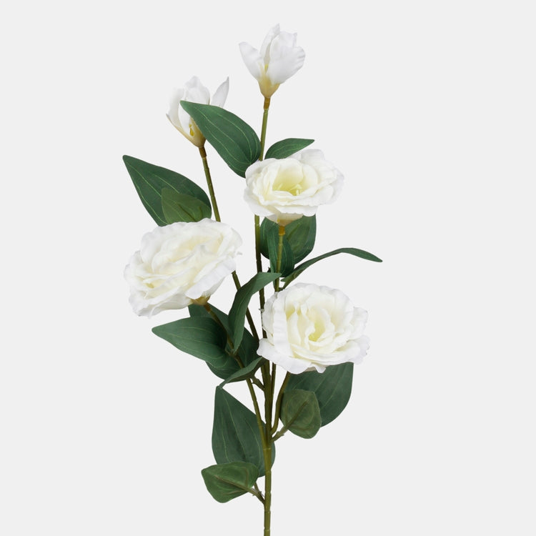 Lisianthus tekokukka kerma