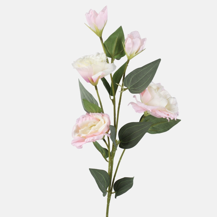 Lisianthus tekokukka vaaleanpunainen/kermanvärinen