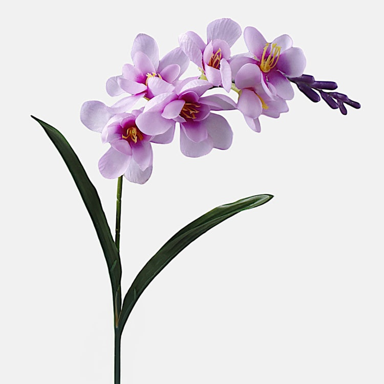 Freesia tekokukka liila - Tekokukat.fi