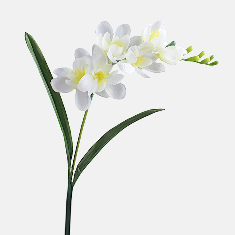 Freesia tekokukka kerma - Tekokukat.fi