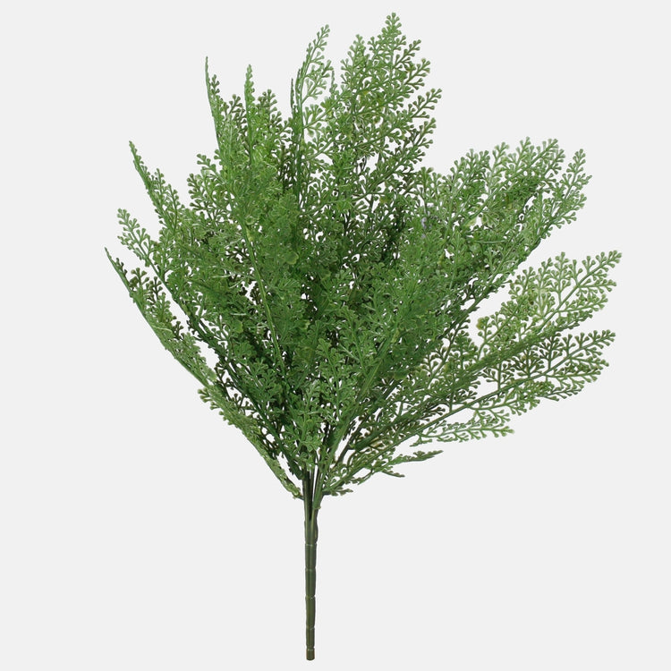 Davallia saniainen Luutnantti Green - Tekokukat.fi