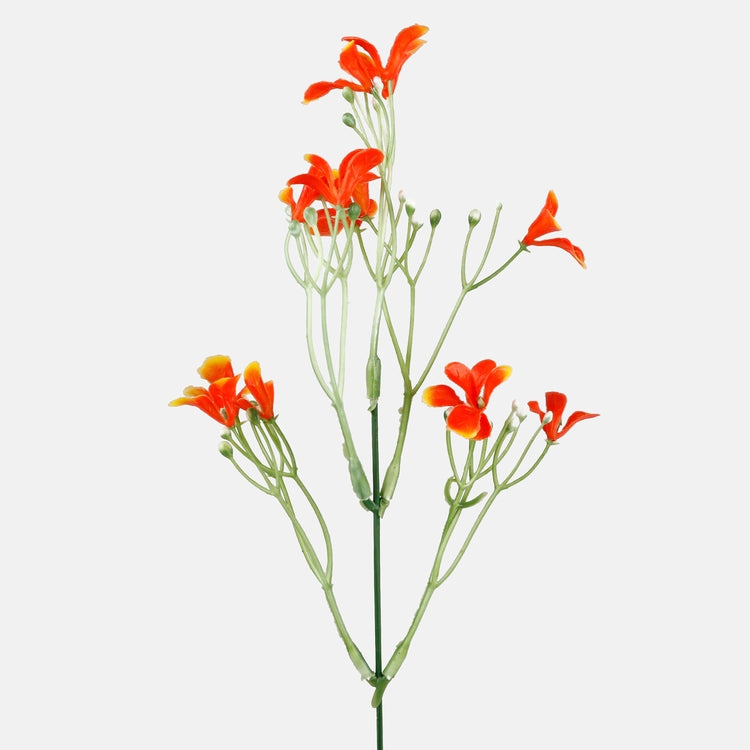 Nemesia oranssi - Tekokukat.fi