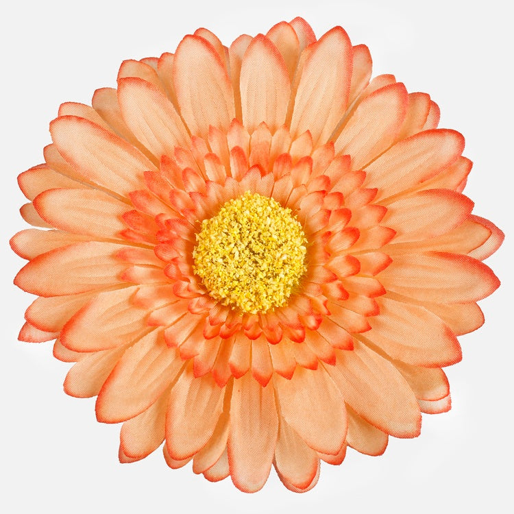 Gerbera XXL Luutnantti Orange Edge - Tekokukat.fi