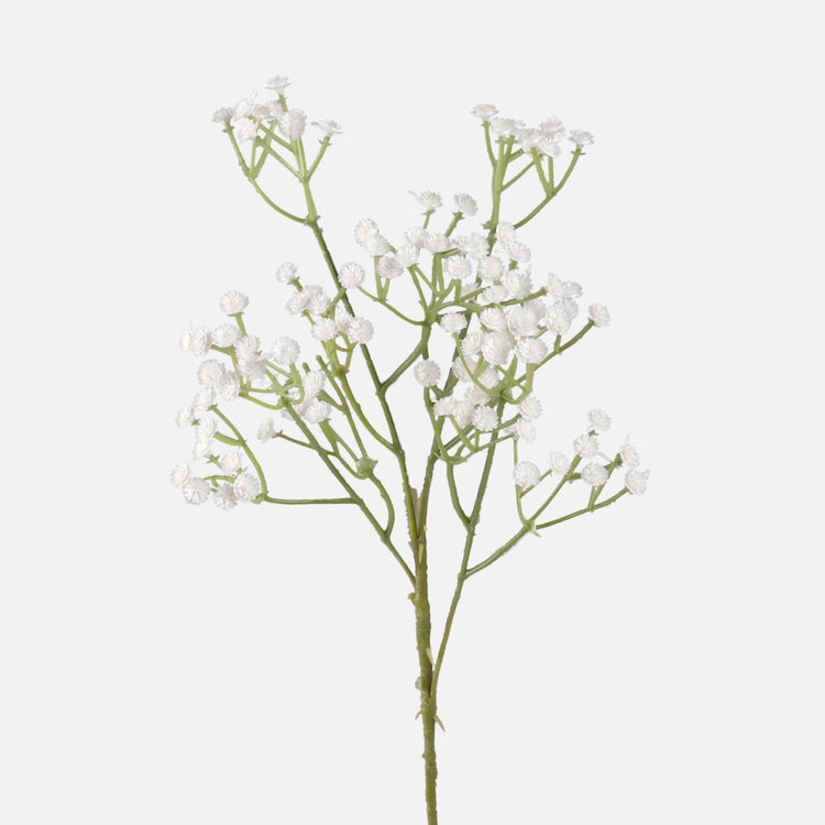 Gypsophila tekokukka valkoinen