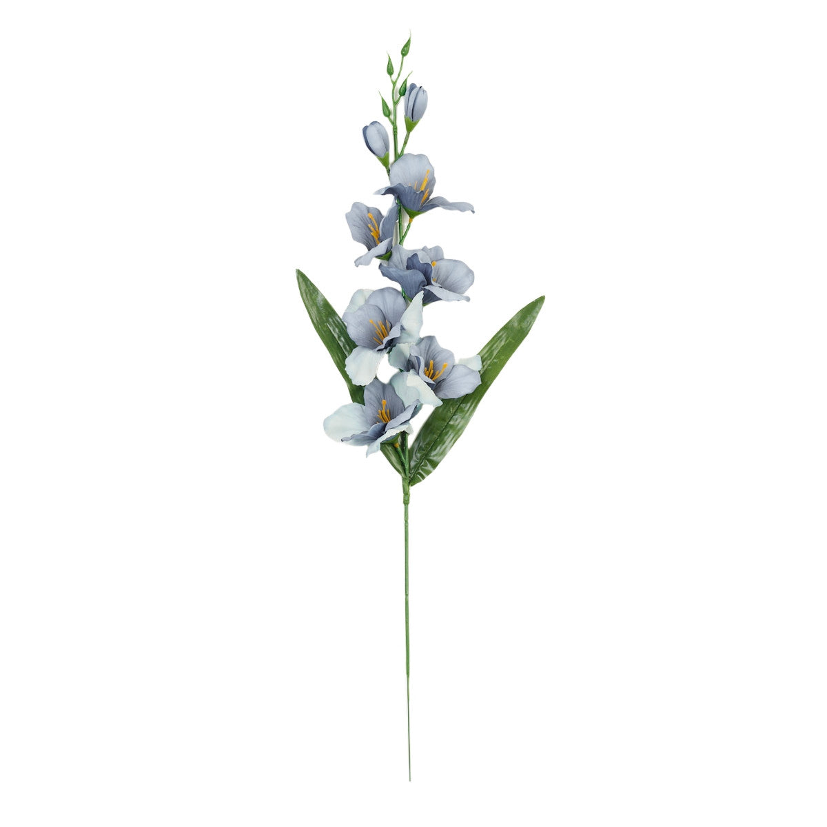 Gladiolus – tekokukka