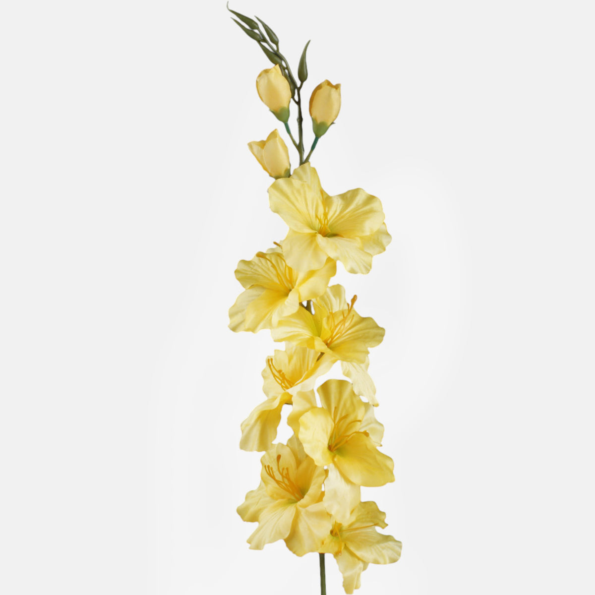 Gladiolus – tekokukka, satiini, 80 cm