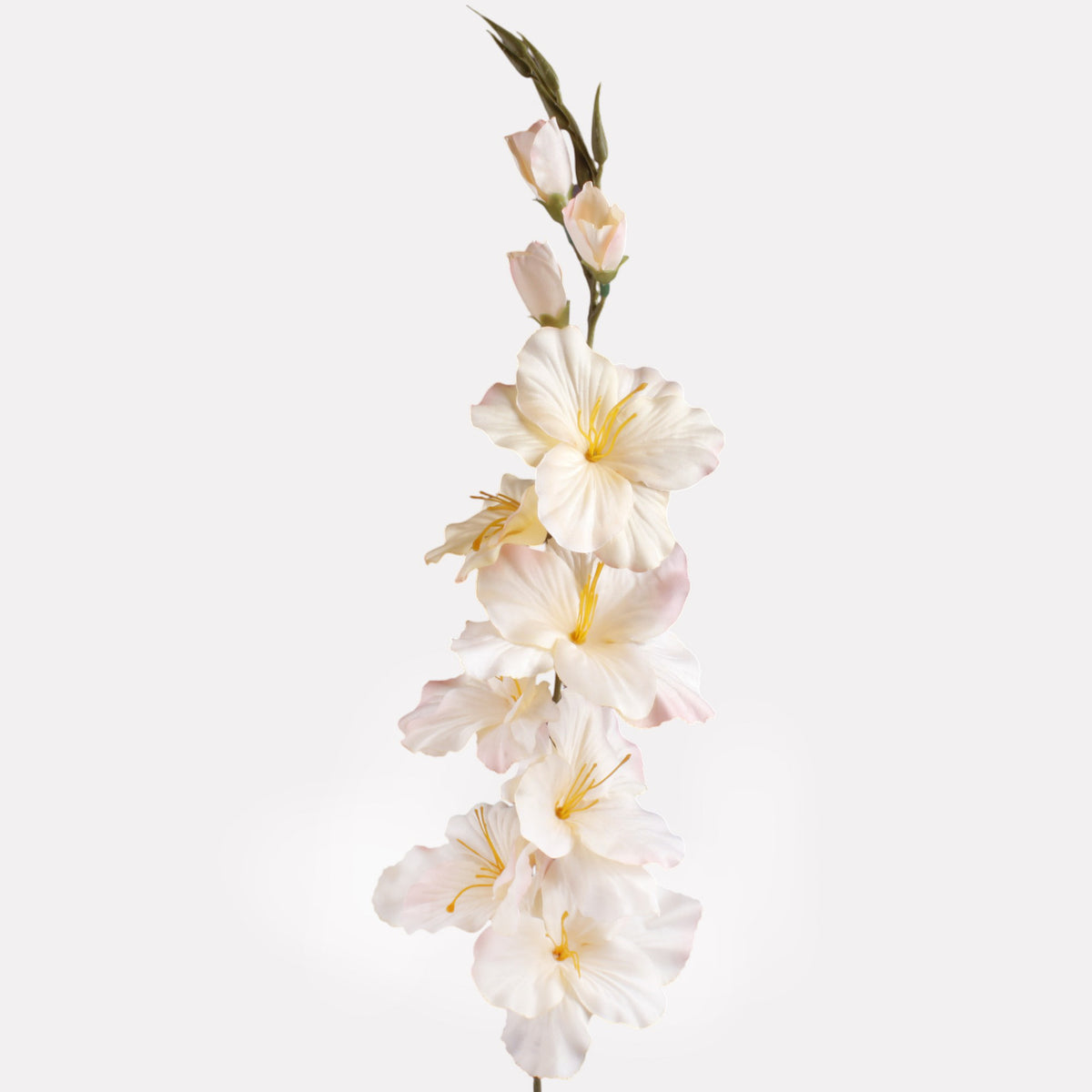 Gladiolus – tekokukka, satiini, 80 cm