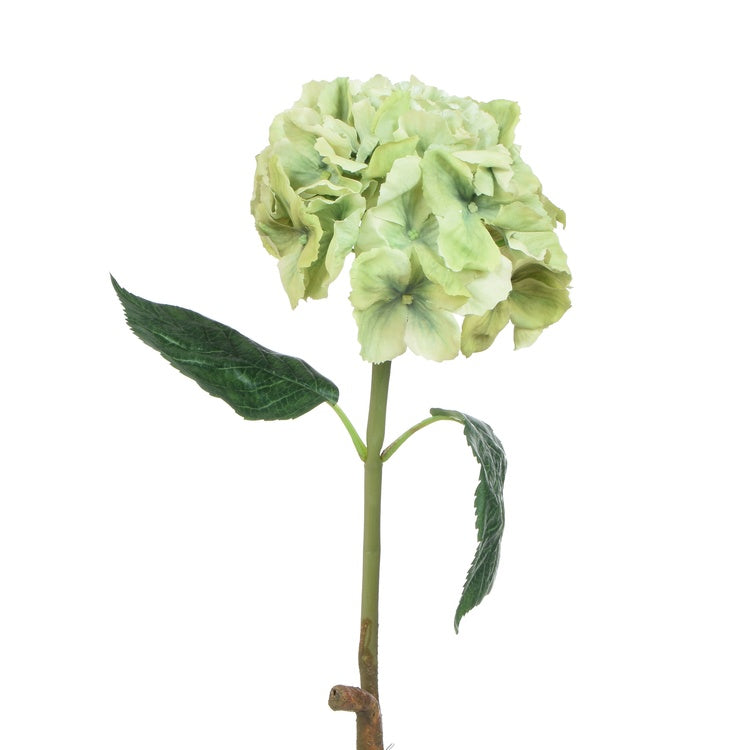 Kumitettu hortensia Vihreä - Tekokukat.fi