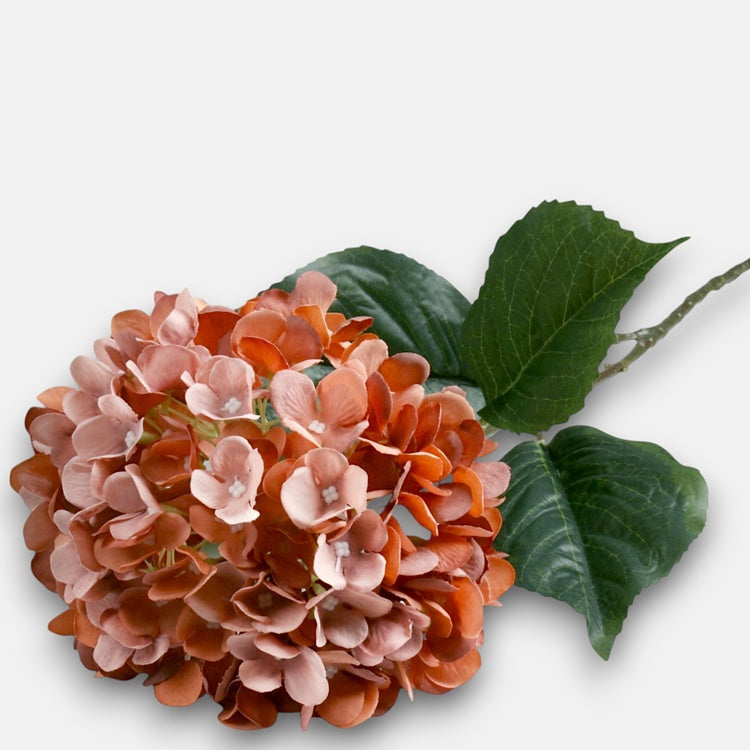 Hortensia tekokukka syksyinen mauve
