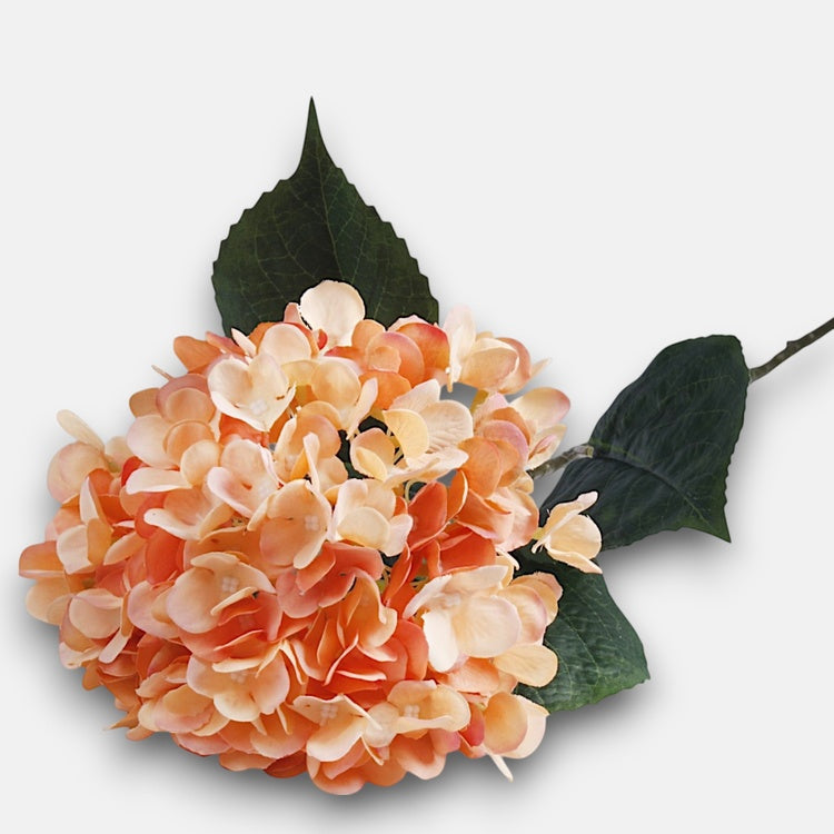 Hortensia tekokukka t.t. peach - Tekokukat.fi