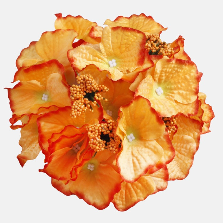 Hortensia Oranssi - Tekokukat.fi