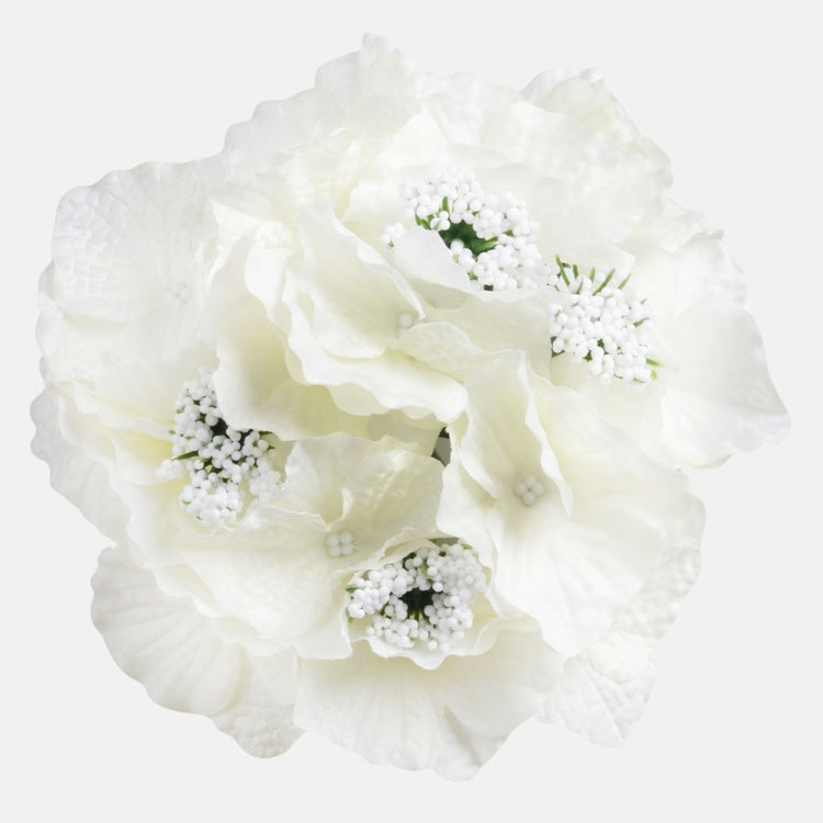 Hortensia Kerma - Tekokukat.fi