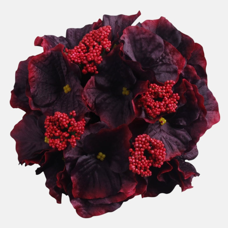 Hortensia Burgundia - Tekokukat.fi