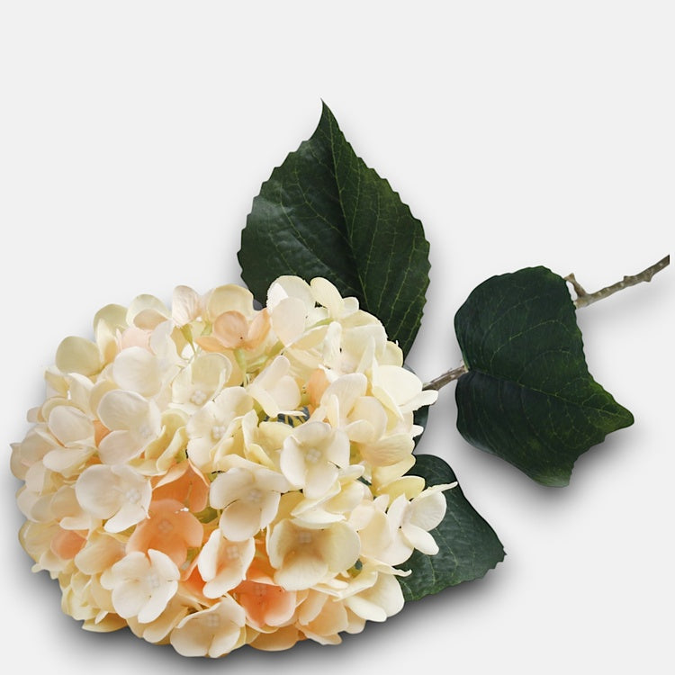 Hortensia tekokukka vaalean keltainen/persikka - Tekokukat.fi