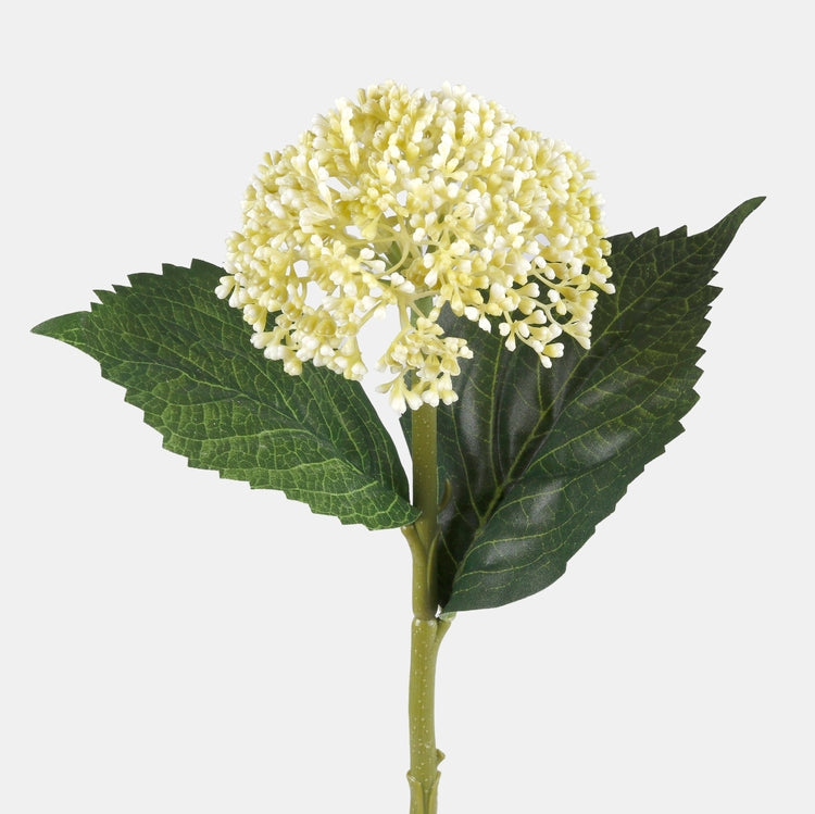 Hortensia tekokukka valkoinen/vaaleanvihreä