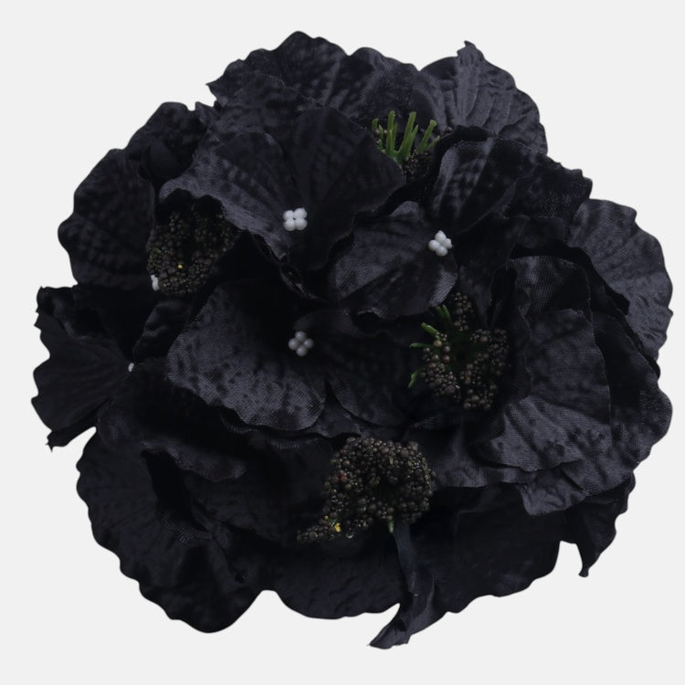 Hortensia Musta - Tekokukat.fi