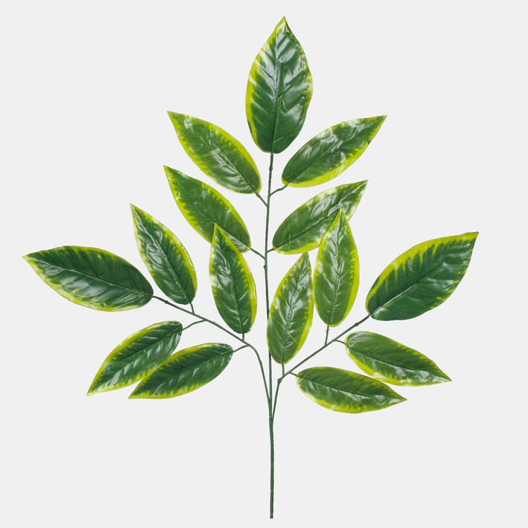 Mango Vihreä/Lt. Vihreä reuna - Tekokukat.fi