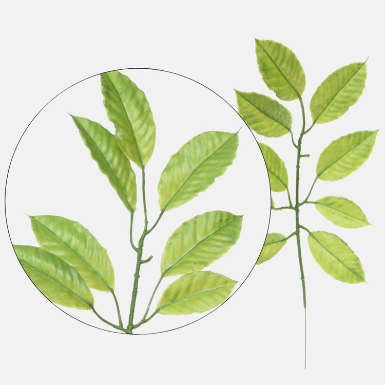 Viburnum (1 x 9) Luutnantti Green - Tekokukat.fi