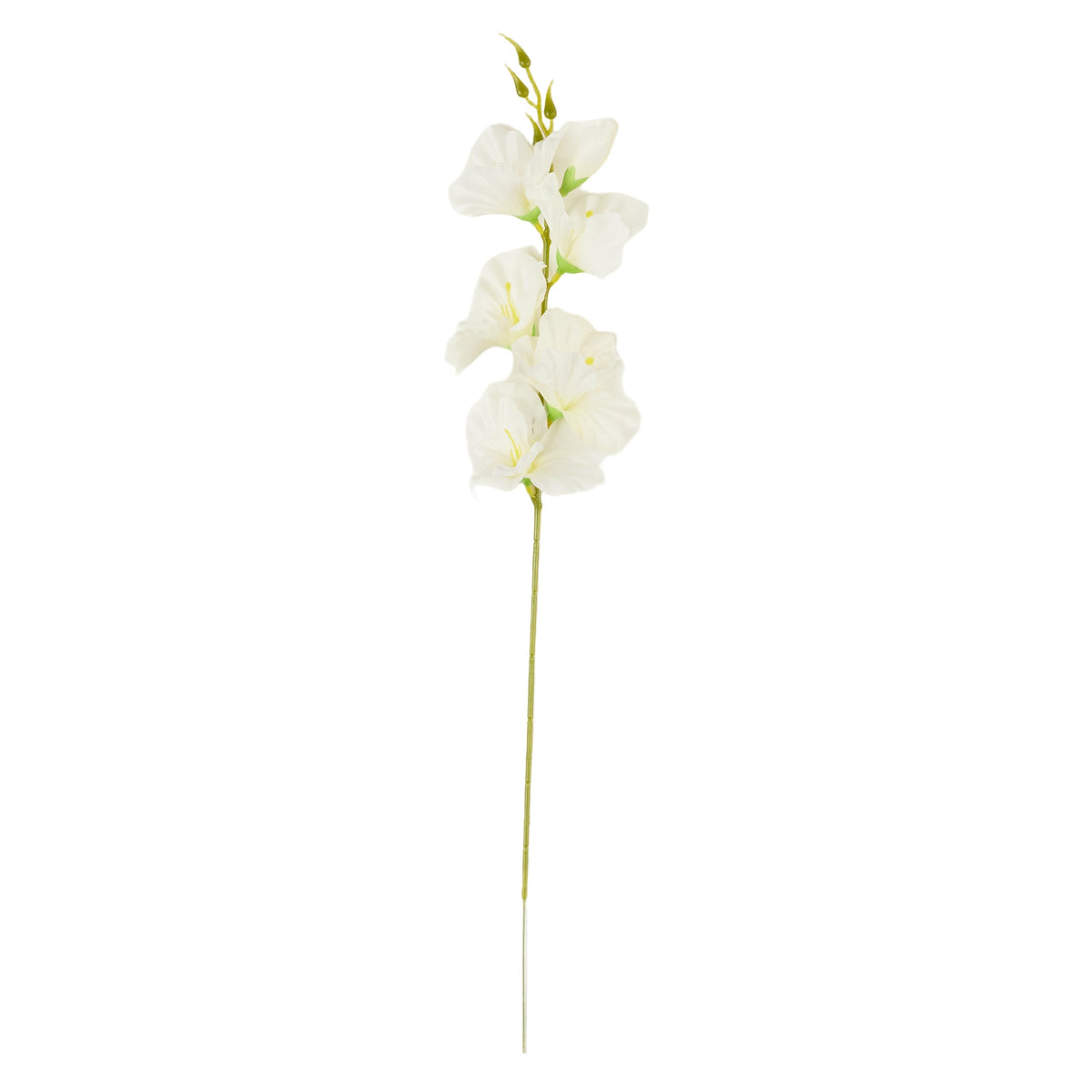 Kermanvärinen gladiolus – tekokukka