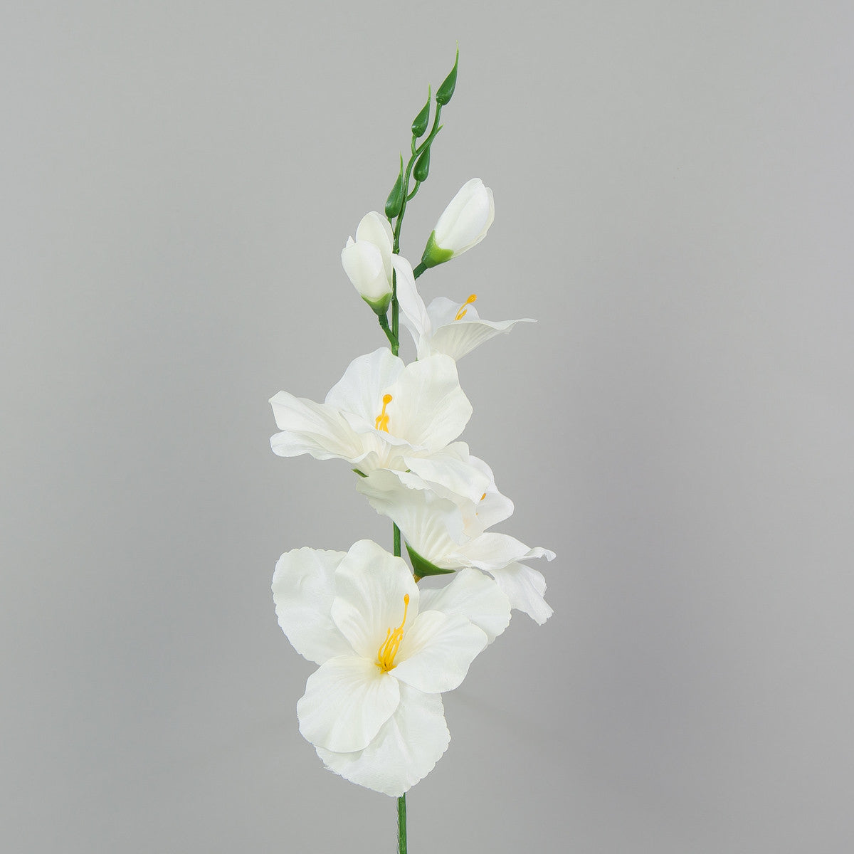 Kermanvärinen gladiolus – tekokukka, satiini