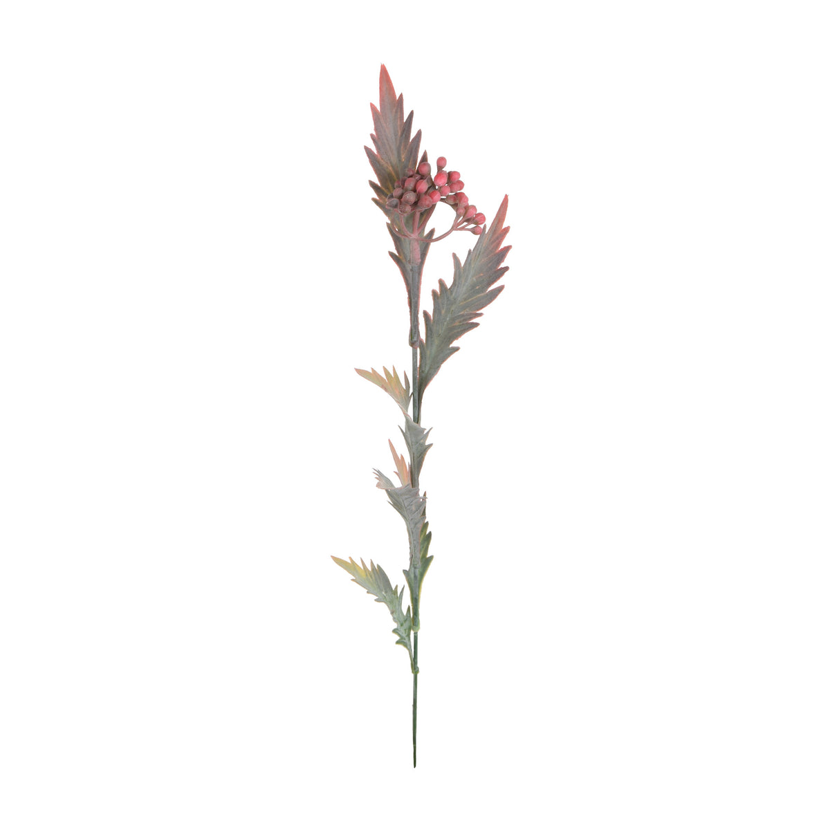 Koristeoksa, 53 cm