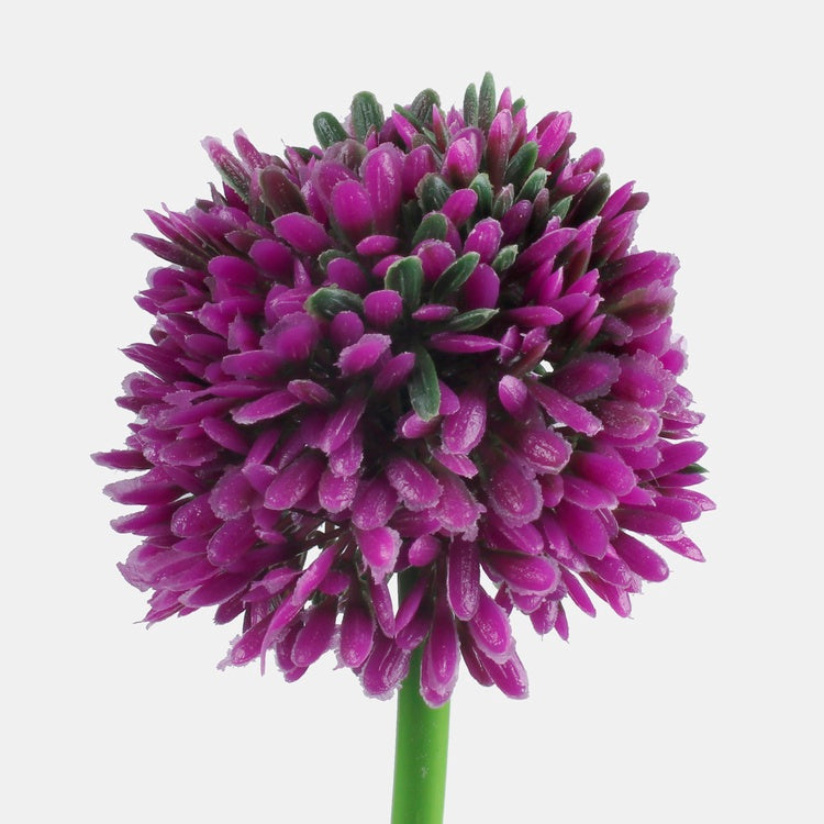 Sipuli kukka tekokukka violetti