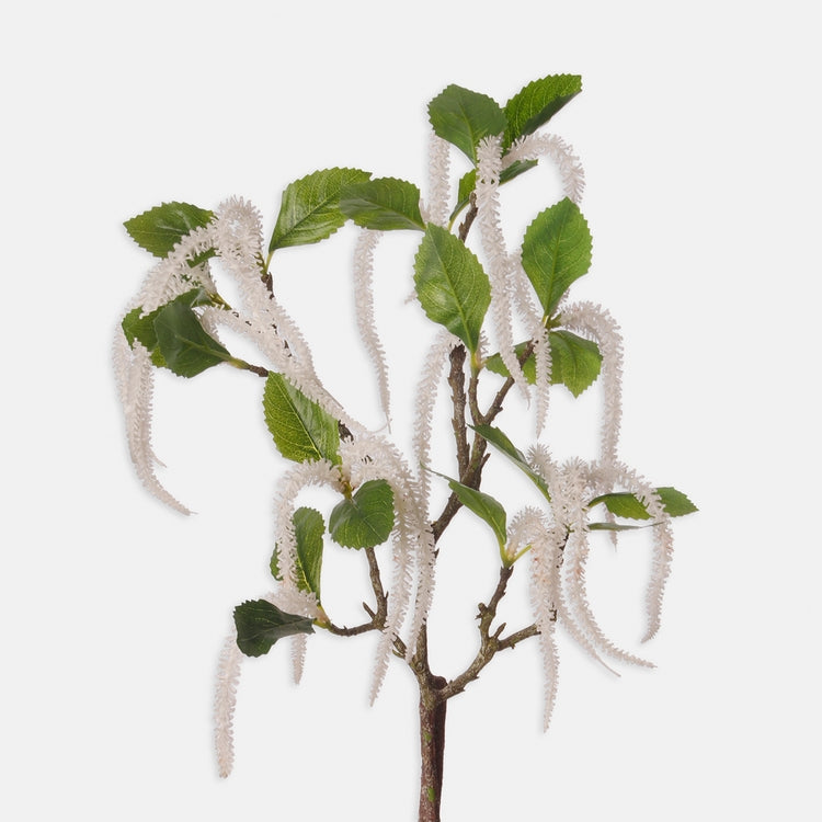 Pähkinänruskea Valkoinen - Tekokukat.fi