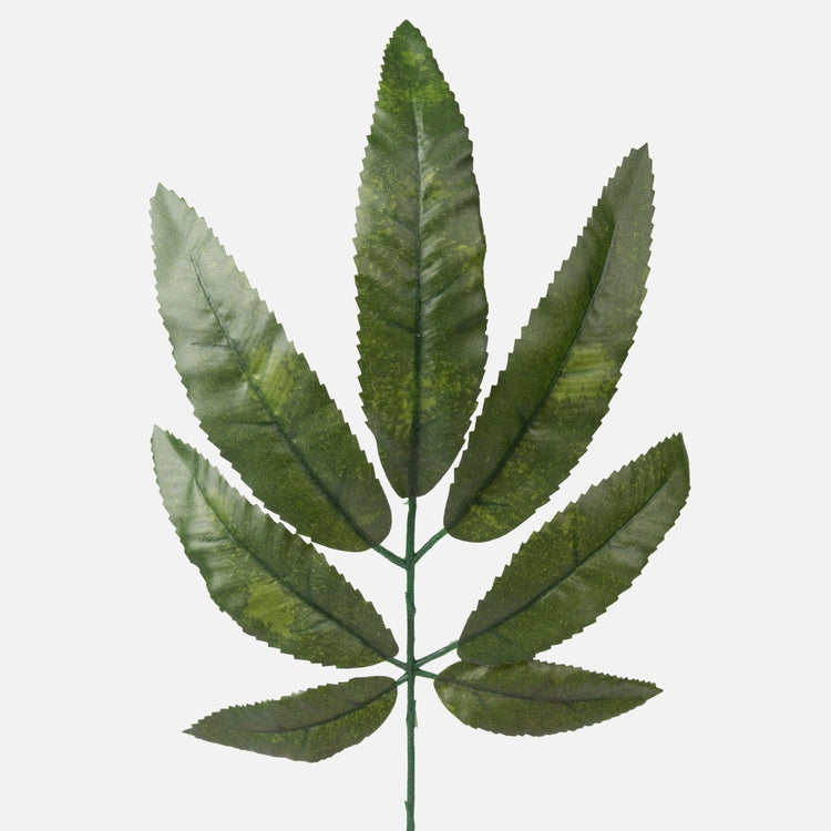 Mangon lehtiä vihreä - Tekokukat.fi