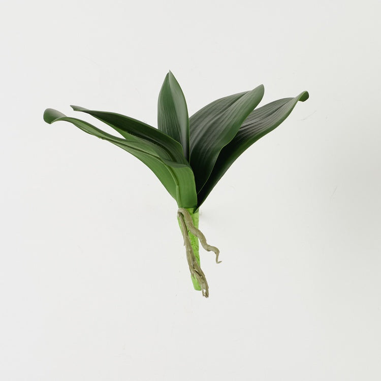 Orkidean varsi x 5 Vihreä - Tekokukat.fi