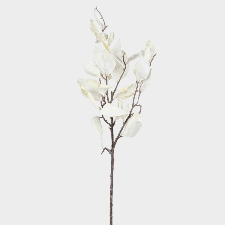 Syksyn oksa magnolia syksyinen Kerma - Tekokukat.fi