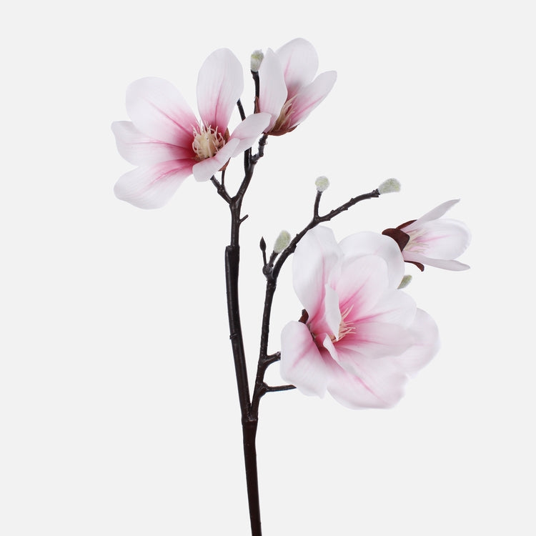 Magnolia tekokukka kerma/vaaleanpunainen