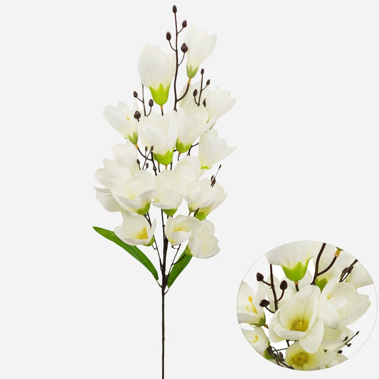Magnolia tekokukka kerma