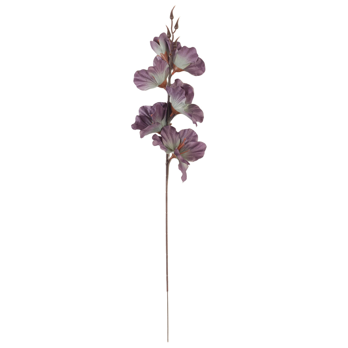 Malvanvärinen gladiolus – tekokukka