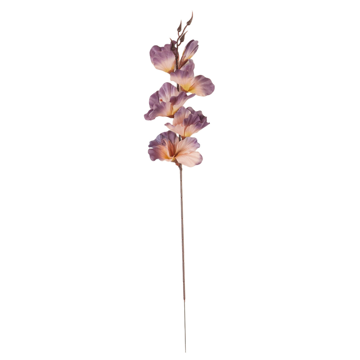 Malvanvärinen gladiolus – tekokukka