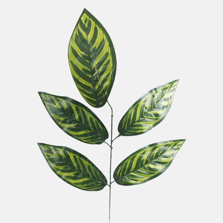 Mango 1 x 5 T.T. Vihreä - Tekokukat.fi