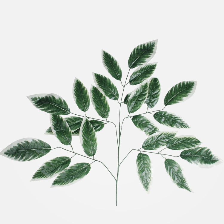 Mango 5x5 Vihreä/valkoinen reuna - Tekokukat.fi