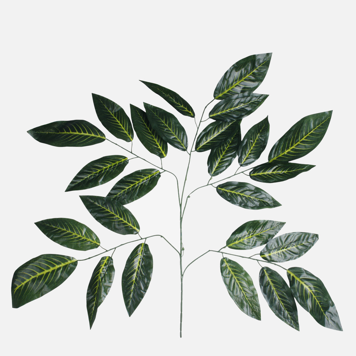 Mango – koristeoksa, 72 cm