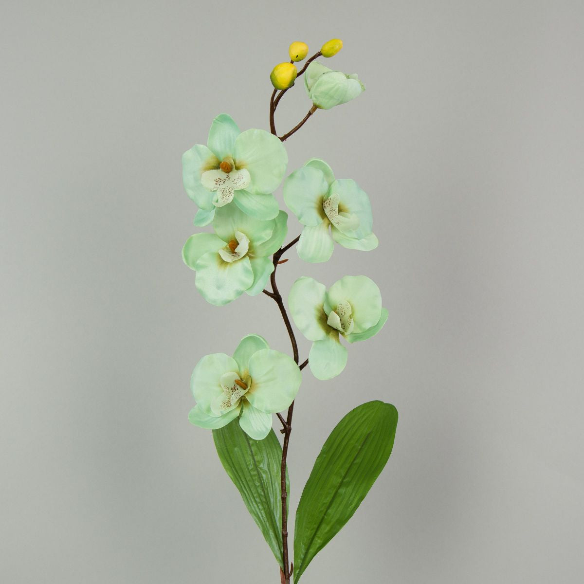 Meri tekoorkidean kukkavarsi, satiini, 12 kpl