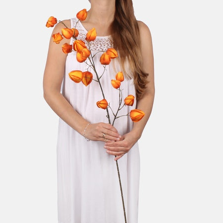 Physalis tekokukka vaaleanruskea